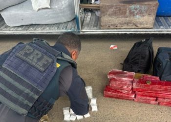 PRF apreende mais de 24 kg de drogas em ônibus de turismo na BR-116, em Feira de Santana e que tinha Araci como destino