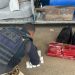 PRF apreende mais de 24 kg de drogas em ônibus de turismo na BR-116, em Feira de Santana e que tinha Araci como destino