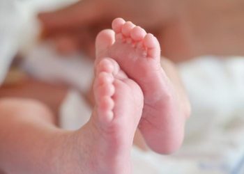 Bebê de 11 dias morre em São Domingos; mãe teria dormido acidentalmente sobre a criança e Polícia Civil investiga