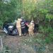 Condutor morre após capotamento de Hilux na Linha Verde, em entrada para o Baixio