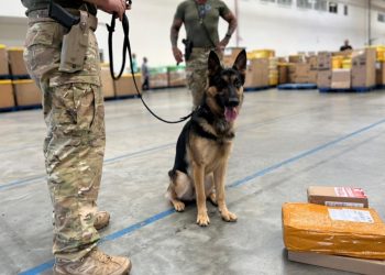 Homem é preso com drogas e munições ao retirar encomenda nos Correios