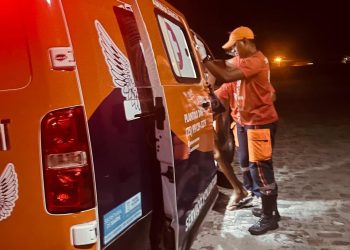 Duas mulheres são agredidas a pedradas em curto intervalo de tempo em Riachão do Jacuípe