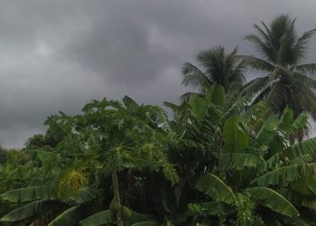 Inmet estende alerta de perigo de chuvas intensas para mais de 40 cidades baianas; Salvador e outras 394 estão sob perigo potencial
