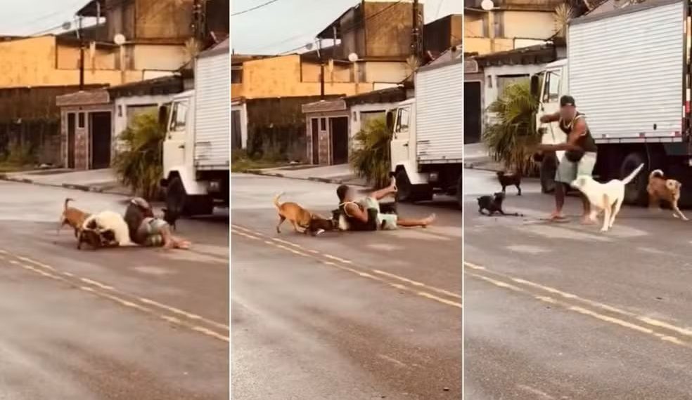 SP – Ex-lutador de MMA dá mata-leão em pit bull para salvar pinscher