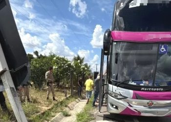 Cerca de arame impede carro capotar dentro de fazenda; cena chamou a atenção