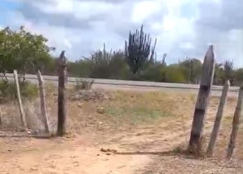 Crime inusitado: cancelas são furtadas de fazendas na BR-324