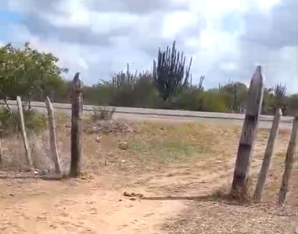 Crime inusitado: cancelas são furtadas de fazendas na BR-324