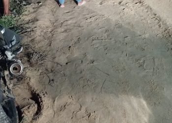 Homem morre após colidir moto e animal em estrada vicinal