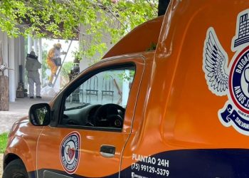 58 remoções: abelhas lideram número de ocorrências atendidas pela Brigada Anjos Jacuipenses em março