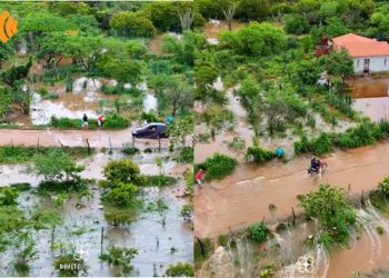 Chuvas transformam paisagem de comunidades rurais em Valente