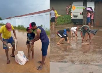 Após forte chuva, moradores encontram peixes no meio da rua