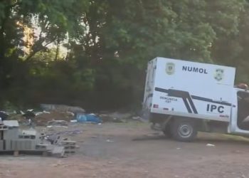 PB – Quatro corpos são encontrados dentro em área de mata em João Pessoa; polícia investiga se vítimas são baianos desaparecidos